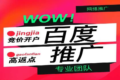 案例解读：SEO与SEM优化助力电商崛起